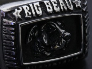 愛犬チャンピオンリング2 愛犬チャンピオンリング2