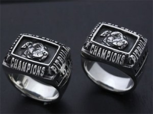 愛犬チャンピオンリング1 愛犬チャンピオンリング1